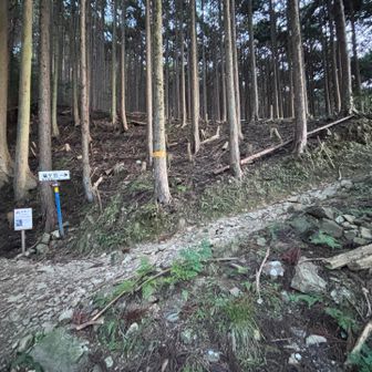 登山口