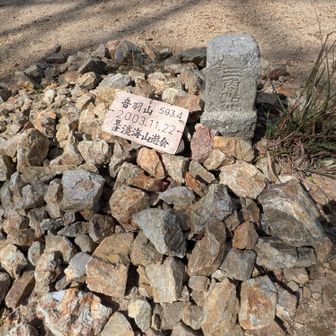 音羽山に到着
二十三年前の看板！？

国土地理院の地図で
昔は593.4mだっんだよね