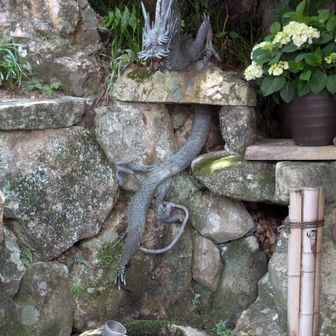 尻尾まであるのは珍しい？