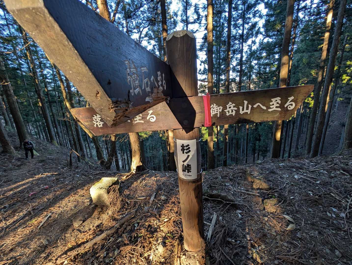 まさに、【杉ノ峠】という峠に着きました！
さっ、ここからですね...
登山道の進行方向が変わりますよ〜！

先程、西から東へ登っていたのですが、今度は南から北へと進んで登って行きます！
🐢🎶
