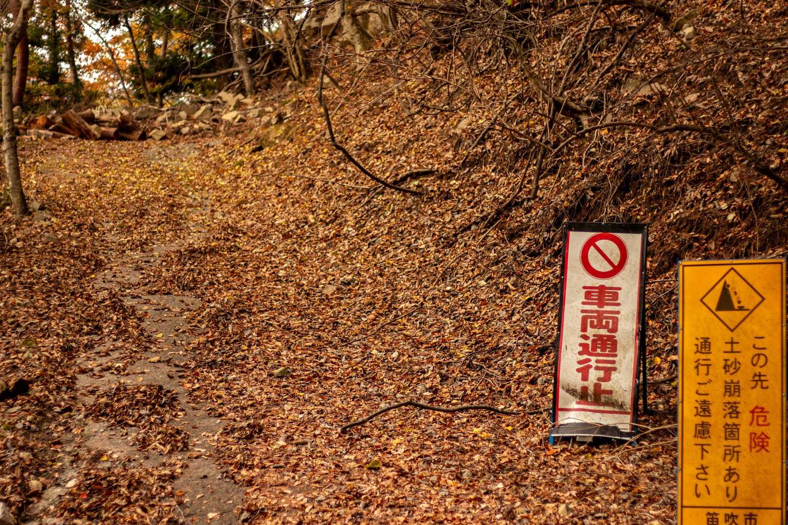 分岐より先。
ここにもまた通行止めの看板。
それでもまだまだ続くコンクリ舗装路。