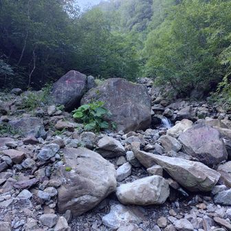 尾根取付き