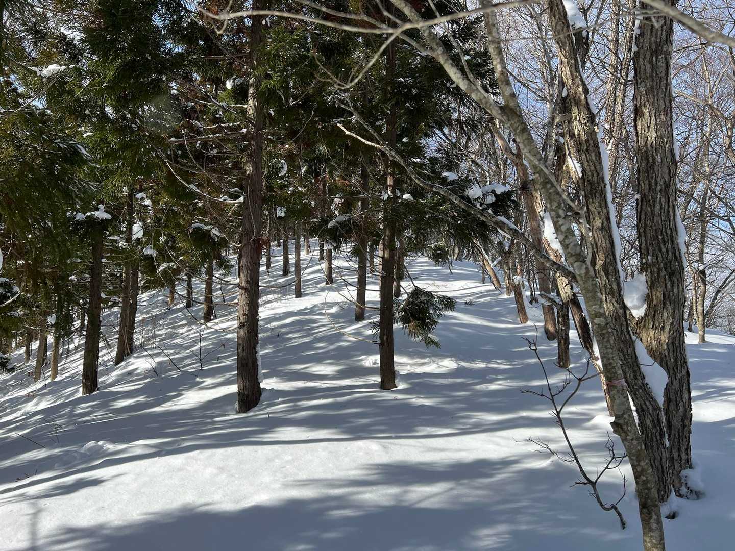 尾根歩き気持ちいい
ラッセルラッセル