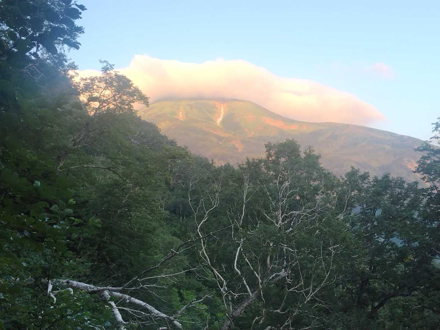 朝日岳らしい
山頂が雲に(◍´ᯅ `◍)
