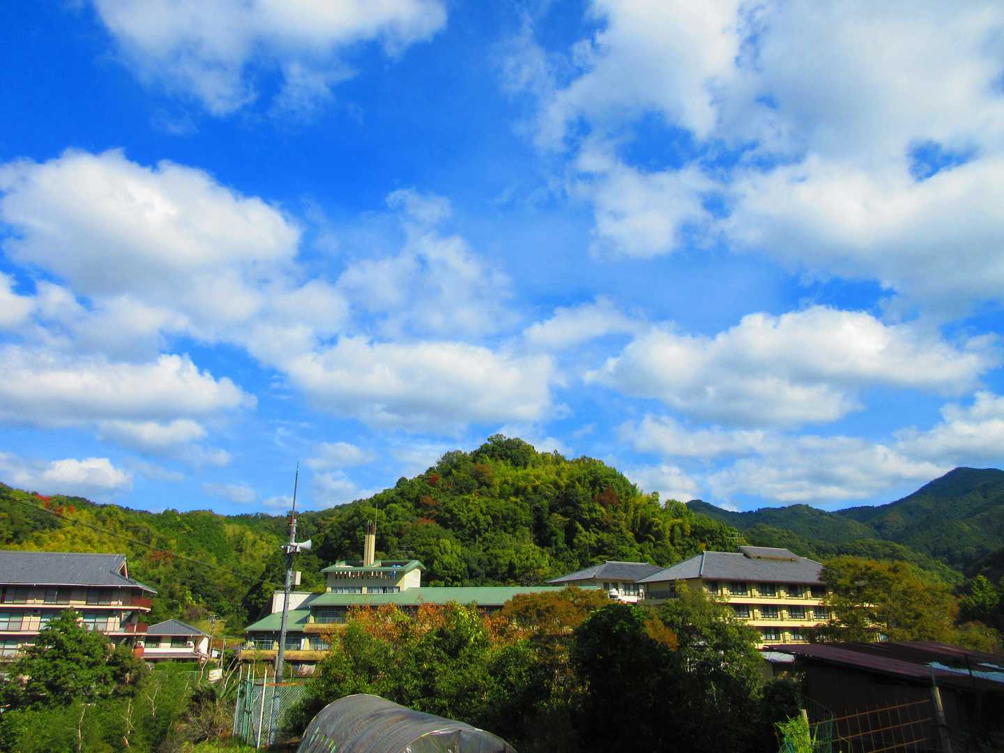 天理駅-下滝本バス停-大国見山登り口-大親寺-大国見山 往復コースの写真