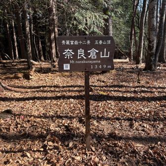 奈良倉山の山頂