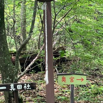 ここから先はパンプスではない方が良いと思います。