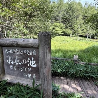 こんなとこ、