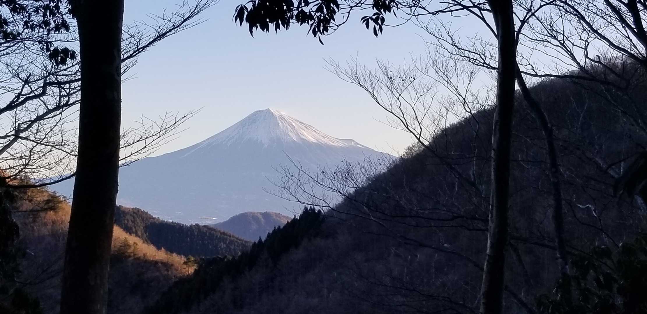 真富士神社の横に富士山🗻