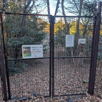 げーと…ここからゴルフ場内を歩いて下山