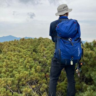 バンビ🦌（旧ゲルマニウム）