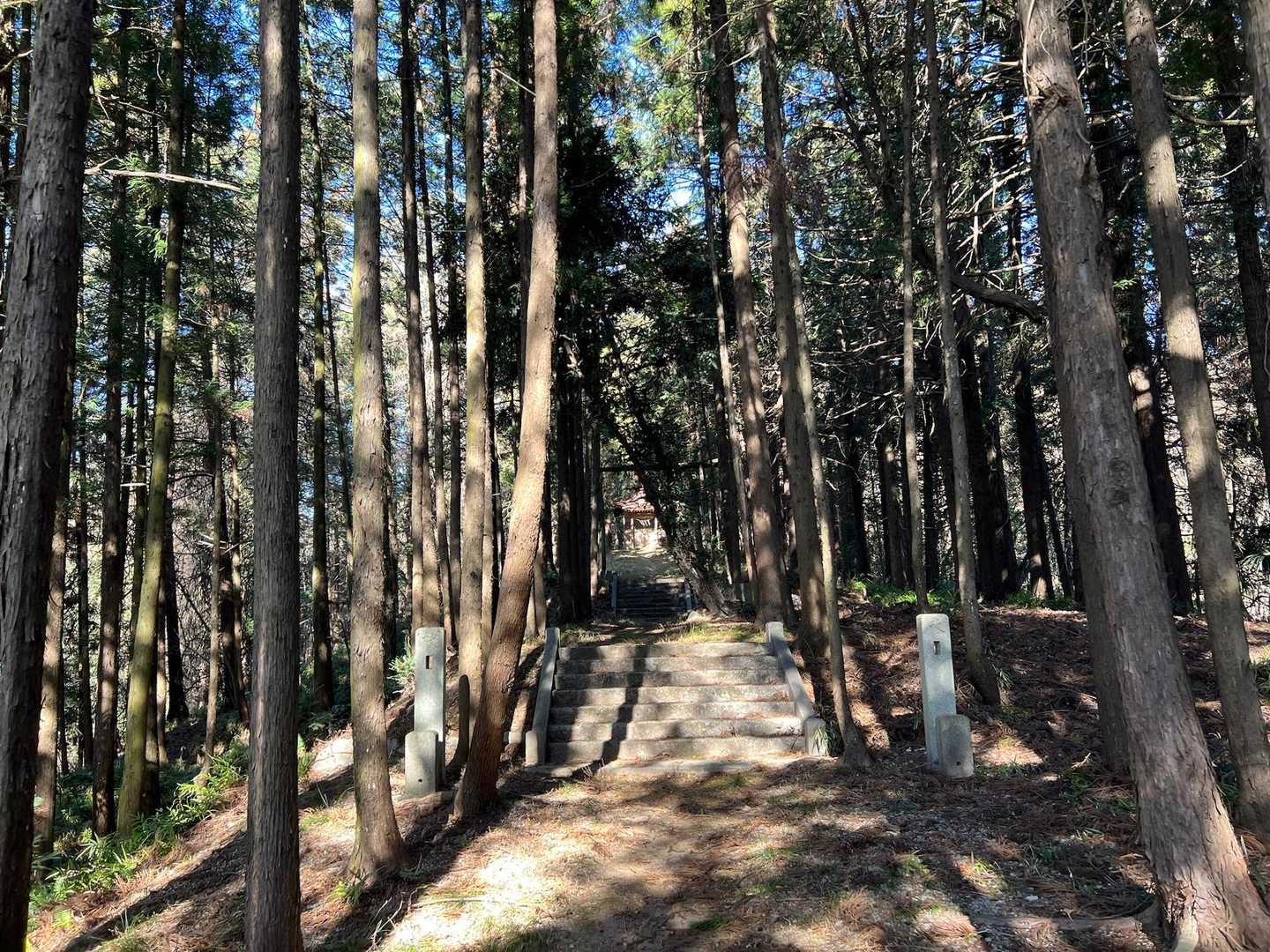 参道を進むと…
