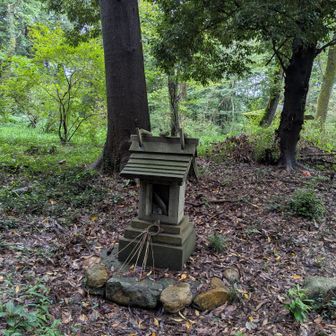 YAMAPの第二天覧山のピークはこの辺で石祠があり(標高１４７ｍ)