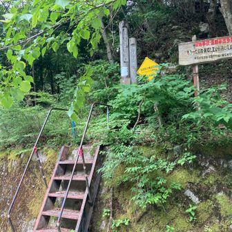登山口に到着
