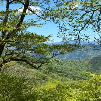 隙間から北岳や三つ峠。