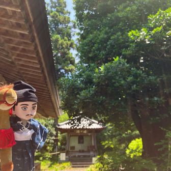 鐘🔔を突いて祈ります🙏
立派な多羅葉の木が生えてます🌲