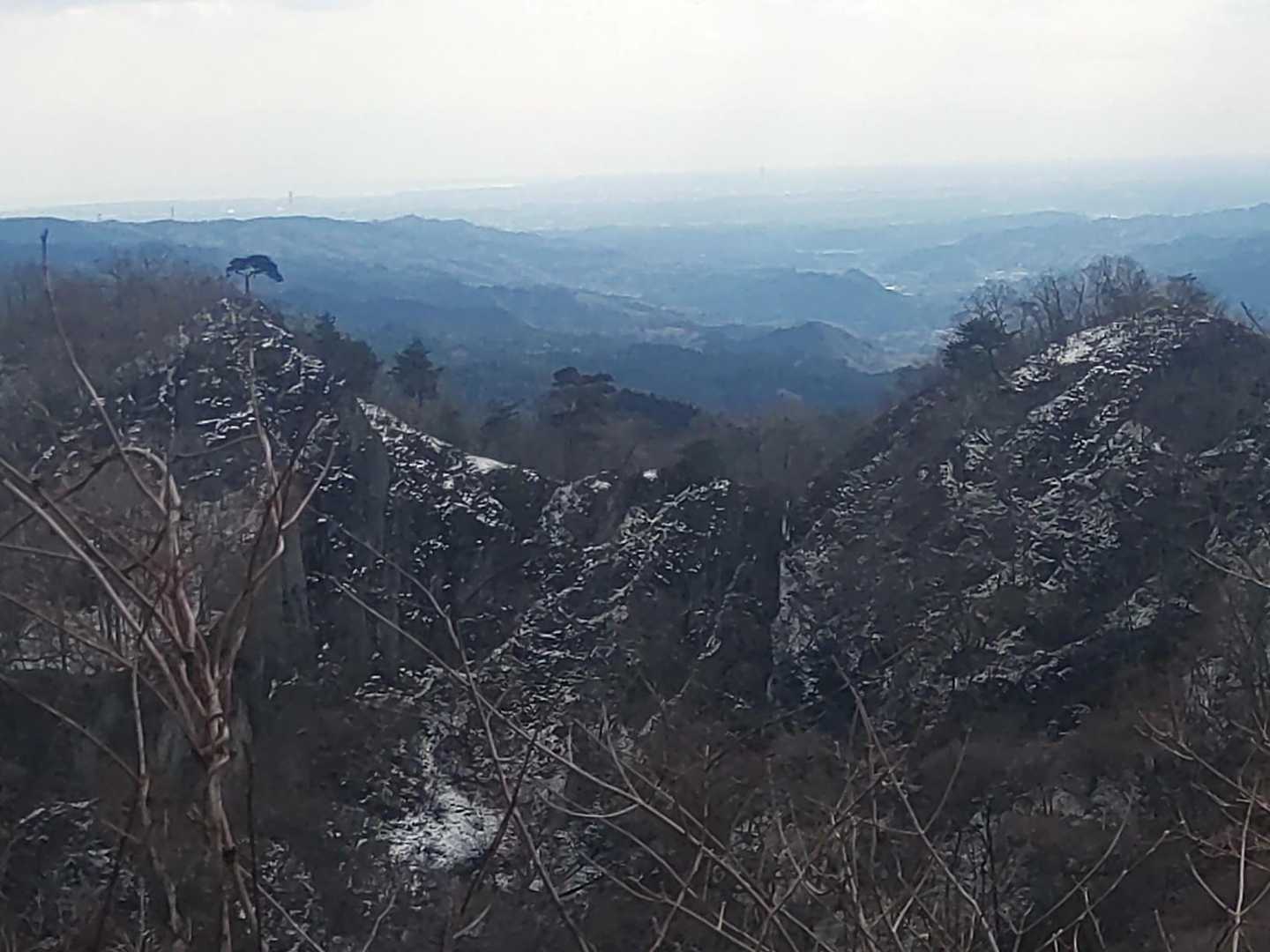 ここからは鍋足山の山頂にあるアカマツが見えます😀
