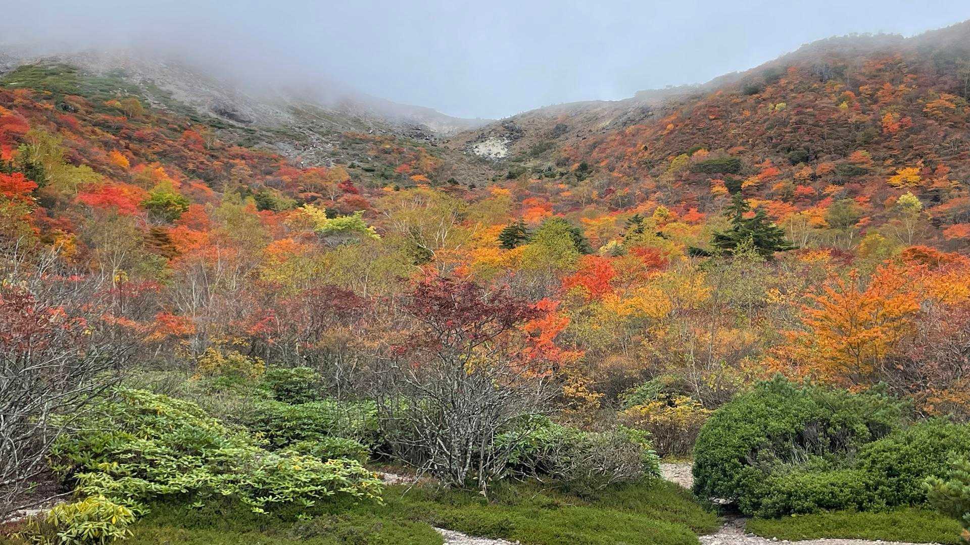 沼ッ原湿原登山口-白笹山-南月山-日の出平-姥ヶ平-日の出 縦走コースの写真