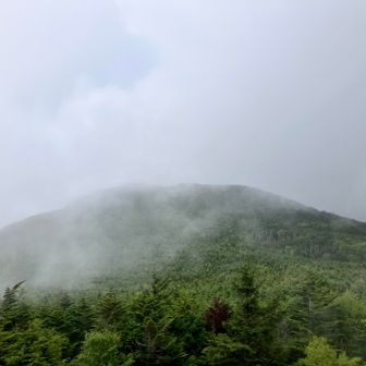 これから向かう茶臼山もガスで見え隠れ。