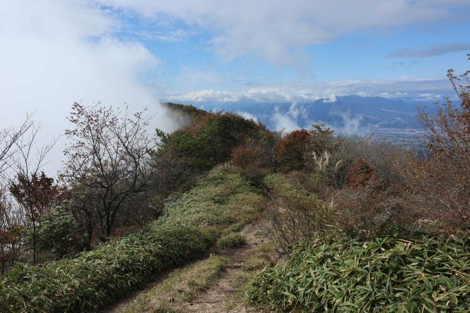 鍋割山 | 山頂に広がる大パノラマ、木漏れ日と岩肌の楽しめる初心者コースの写真