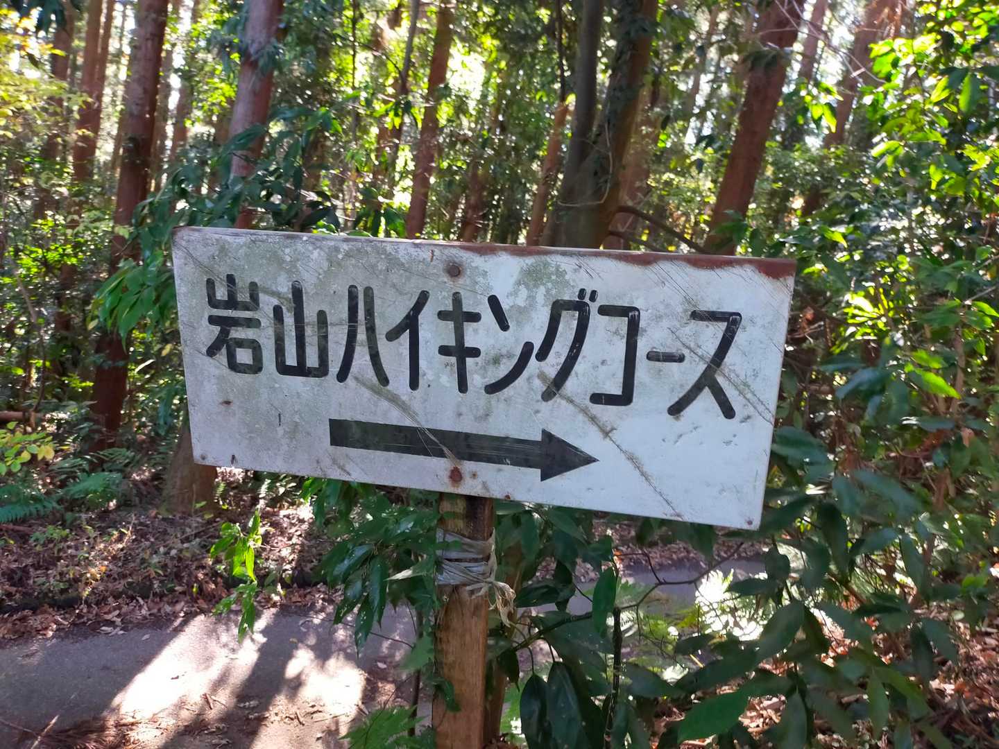 岩山 周回コースの写真