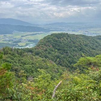 小谷城址あの尾根を歩いてきました　1番高い所が山王丸だと思います