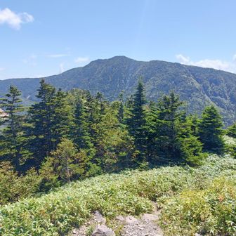 根子岳頂上から四阿山を展望