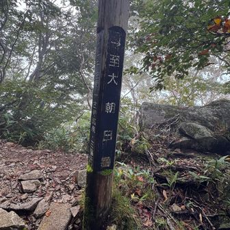 小朝日下の分岐
小朝日からの下りは結構足にきた！
大朝日からの帰りに登るとしたら
登り返しがかなりきついと思う。