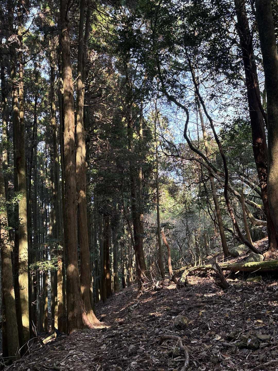 次へ🚶‍♂️