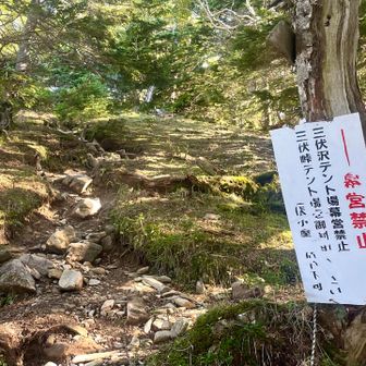 テント禁止❎の看板がある👀
自分さえ快適ならって考えは良くないけど、、、
ビバークは仕方ないんじゃ⁉️