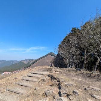 北方向👀
真ん中が二本ボソ