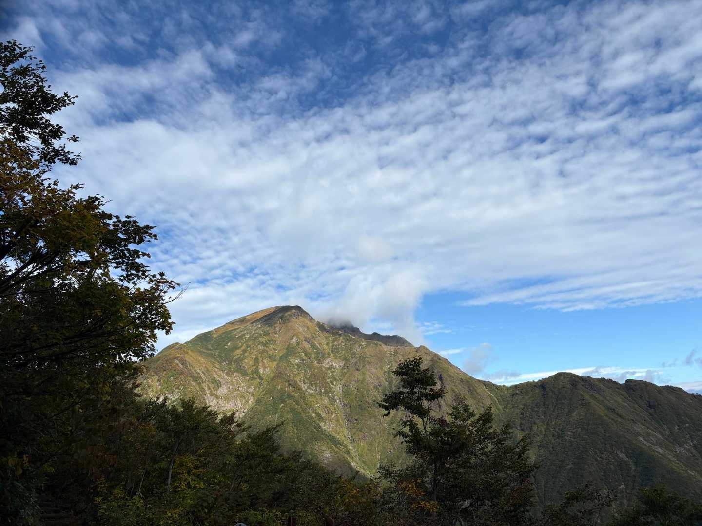 谷川ダブル達
初めまして🫢鎖が数箇所あるらしい