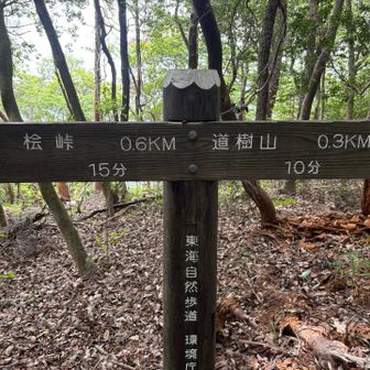 初の分岐表示  距離も時間もこの先がどーなっているのか？？？