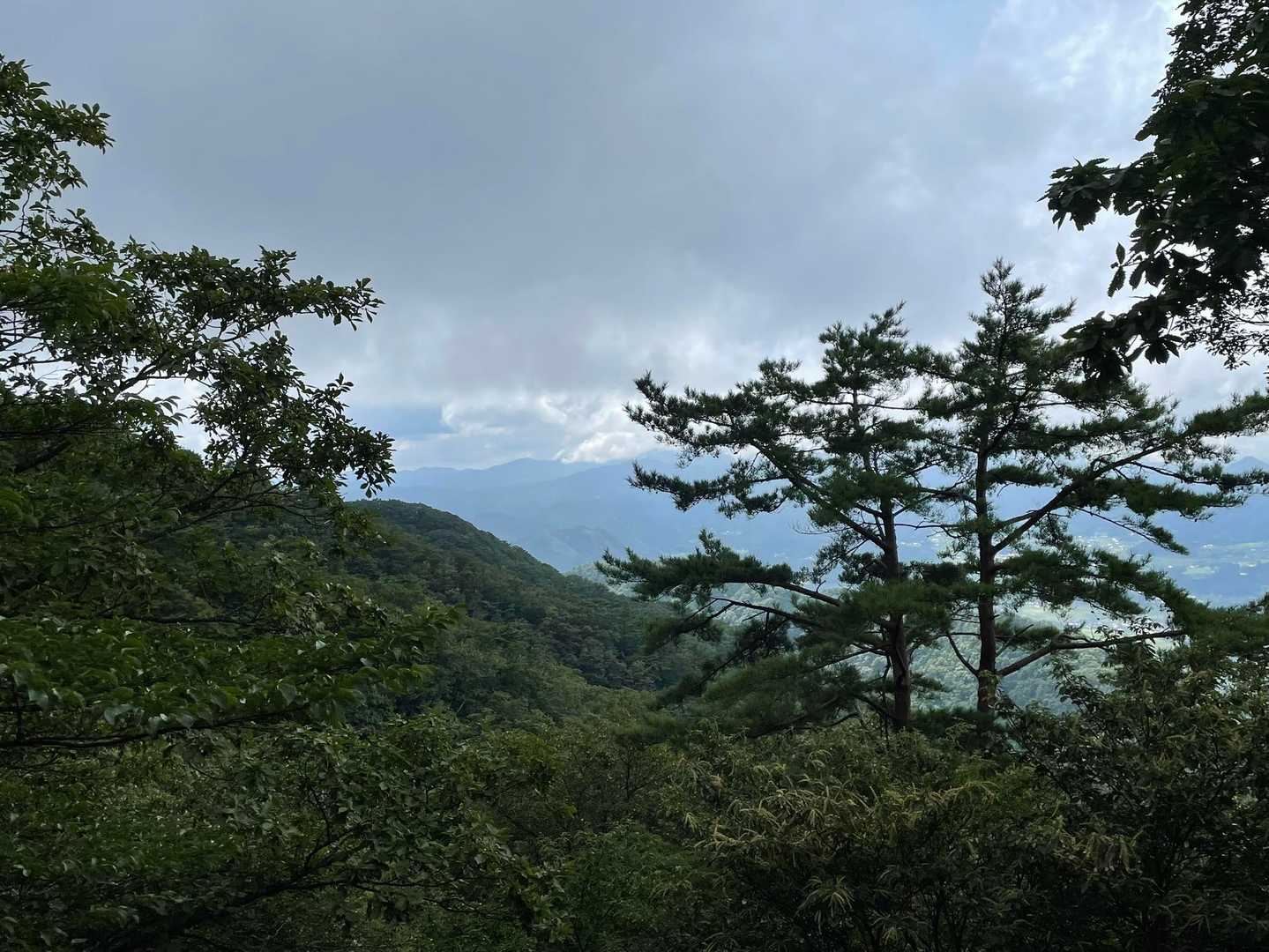 眺望を眺めているとハイキンググループの方々にお会いしました✨

「スパイさんですよね」と。

読みにくいですよね。
シューピーです♪

改めまして宜しくおねがいします✌️✌️