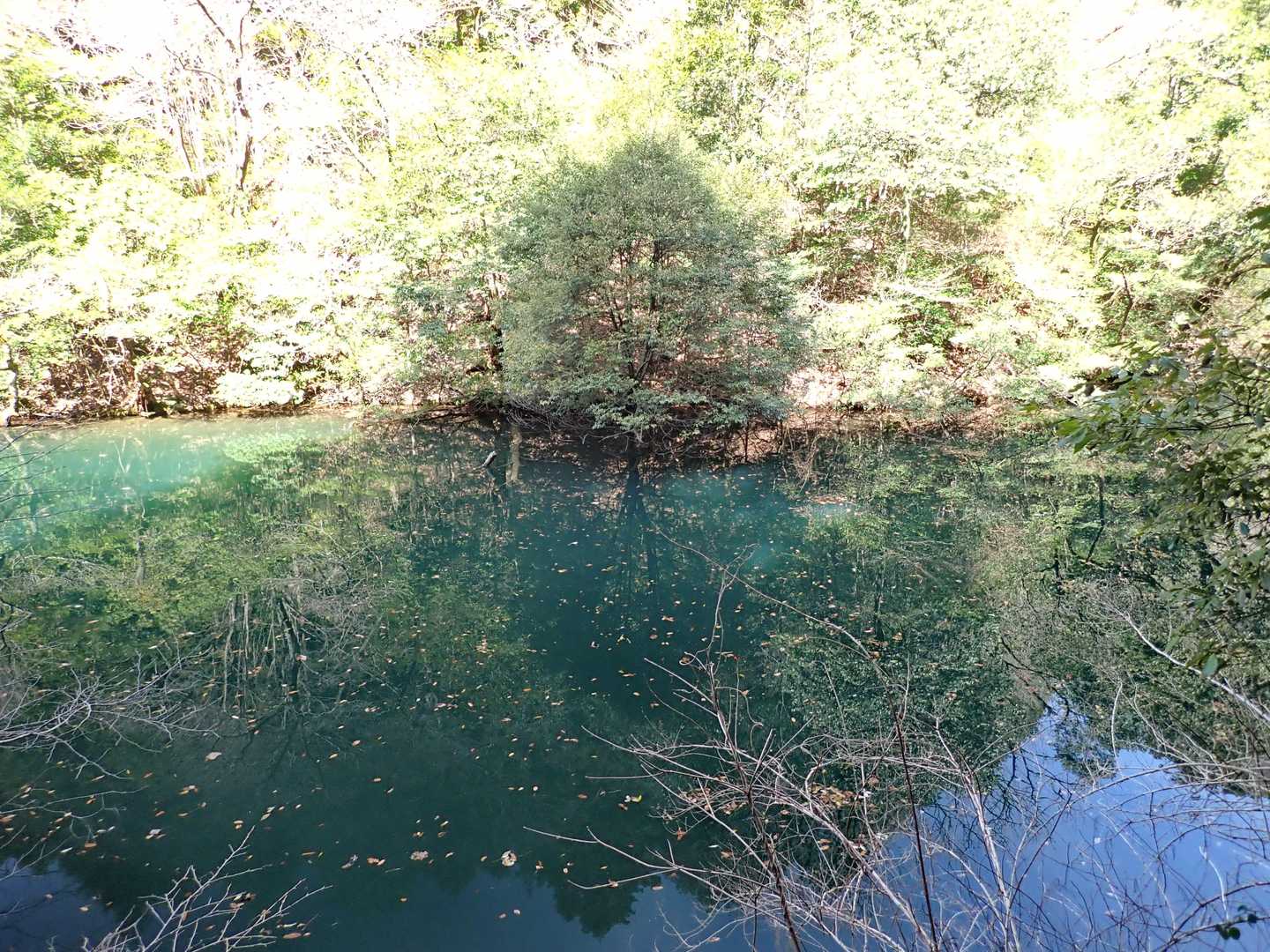 多々良池の側を通ります。