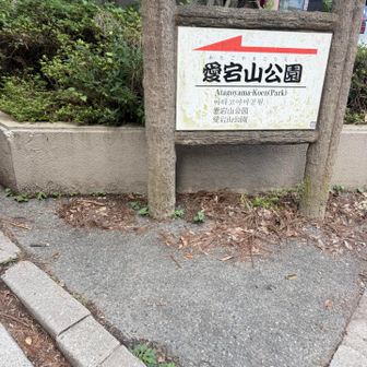 この山もピーク踏んでないから行こう！