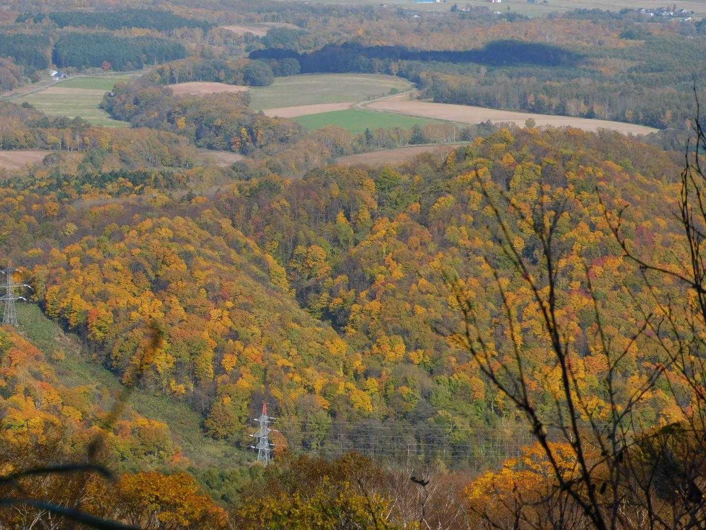 裾野も良い感じ🍁