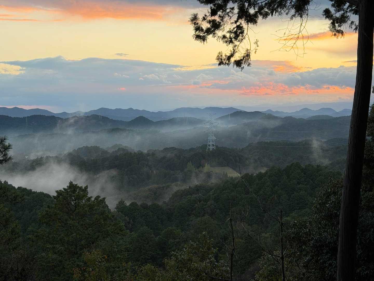 高沢山-大仏山-本城山 周回コースの写真