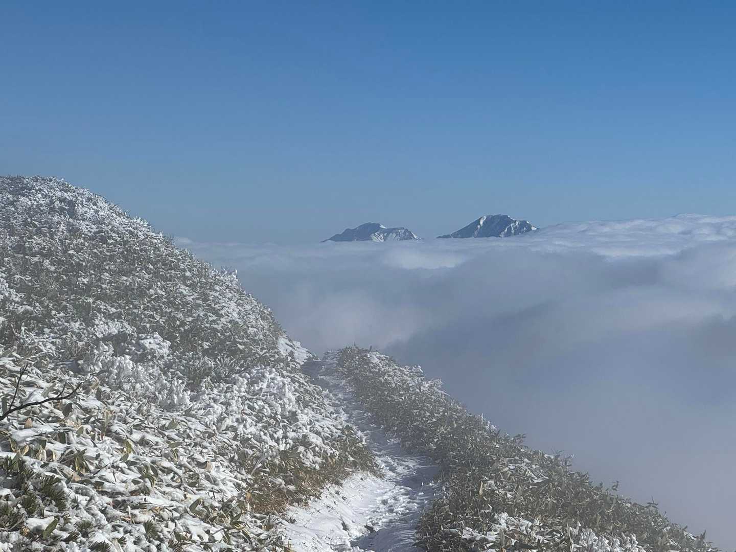 新潟の名峰、中ノ岳と越後駒ヶ岳も真っ白に雪化粧した山頂部を雲海の上に突き出しています🏔️