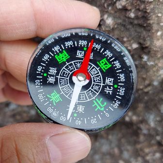 少しずらすと、磁針がクルクル回って止まった。