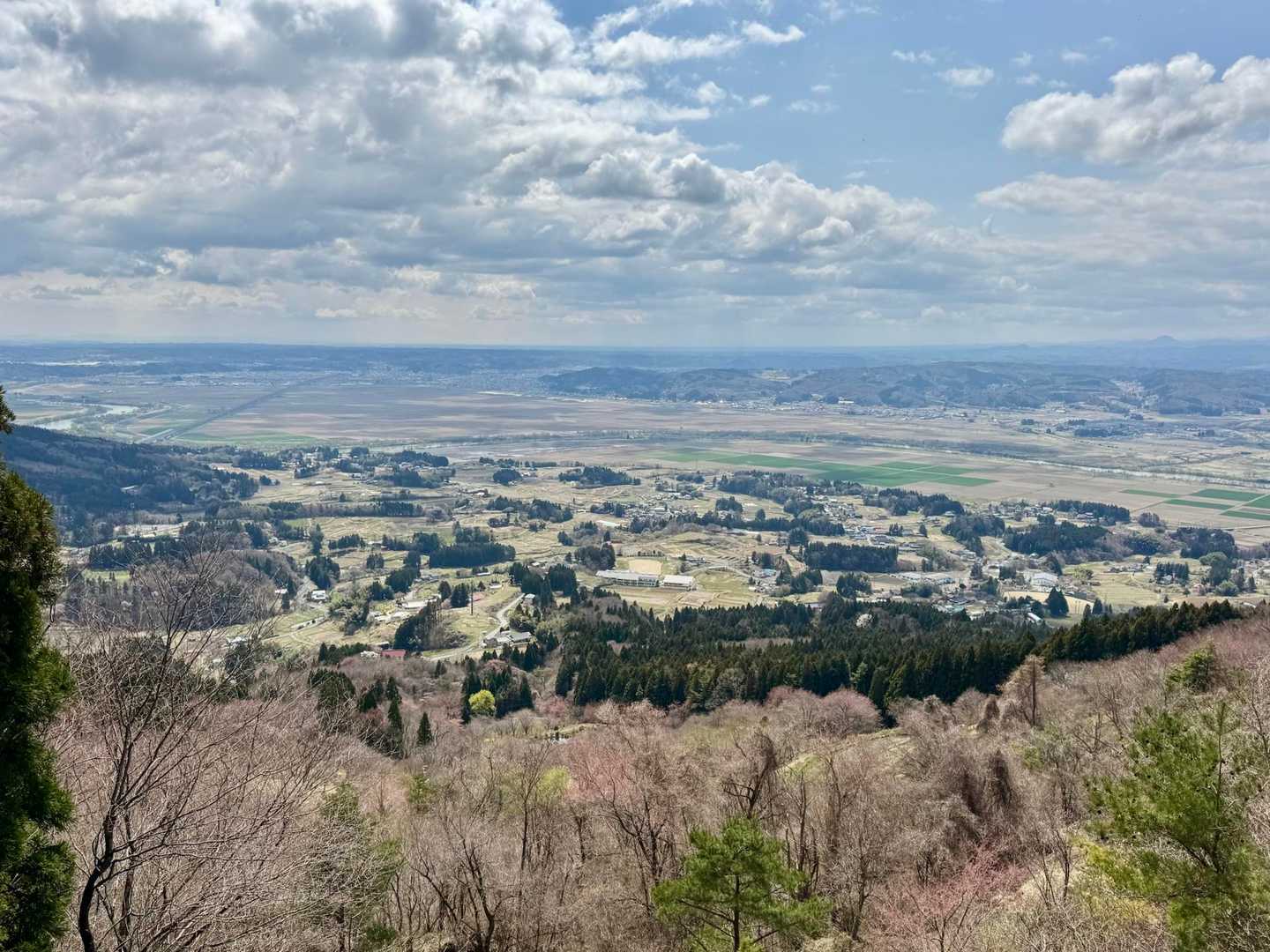市街地が一望