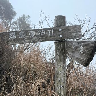 まだまだあるー。