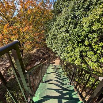 先ほどの展望台へ登ってみまーす、