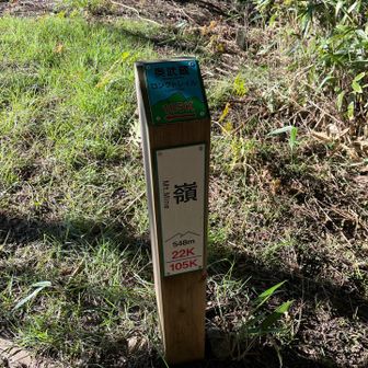 全然進んでない