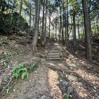日差しがきれい