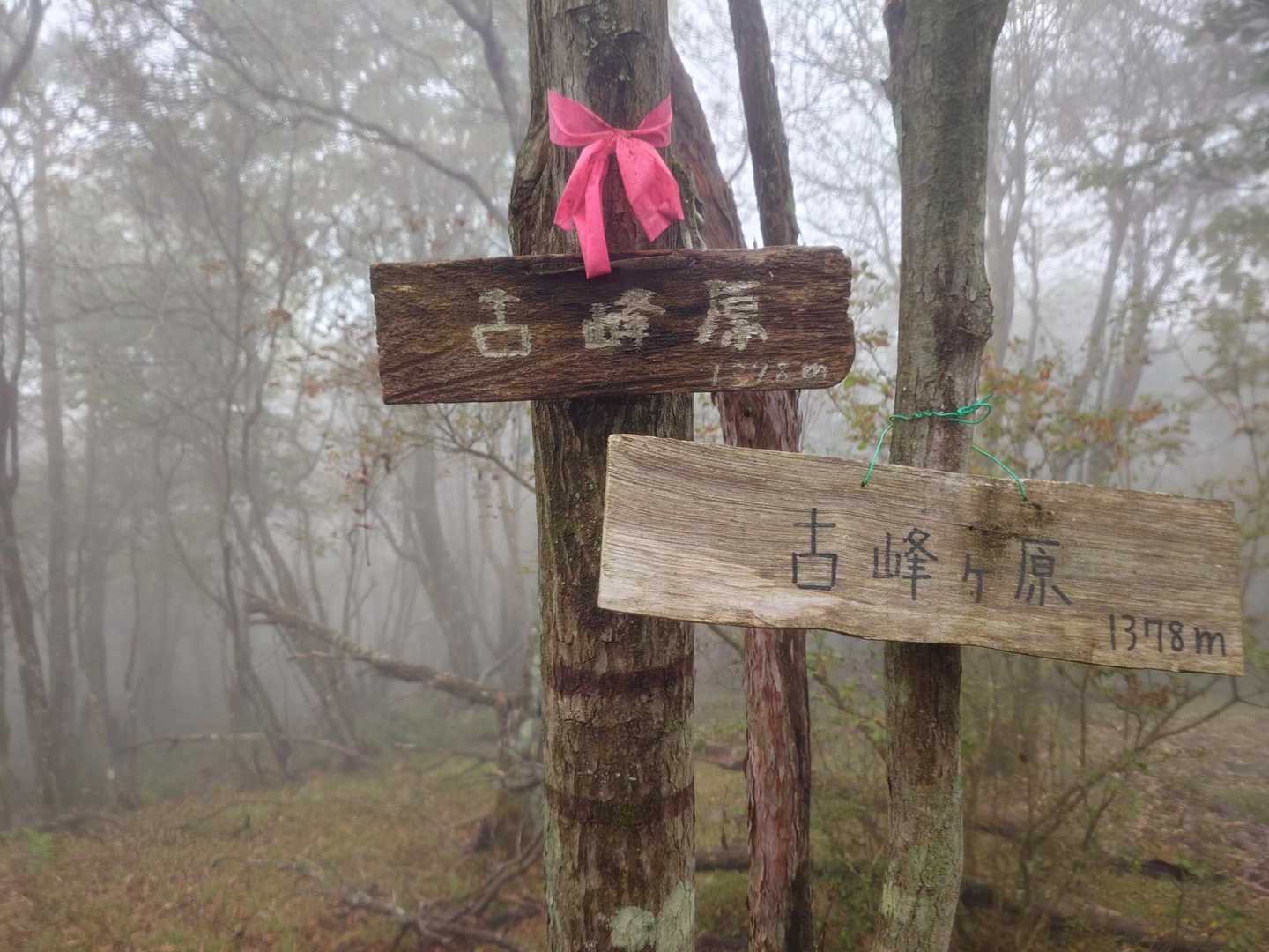 少しそれた所に続く脇道に古峰原のピークがありました🪧✨関東百名山GET👍