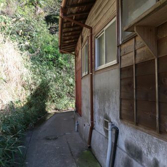 ひとのうちのヨコを通る…😂　これ公道なのか？