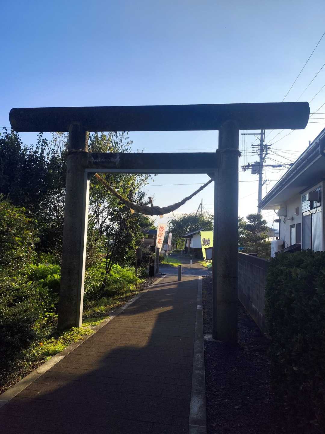 朝だね出社