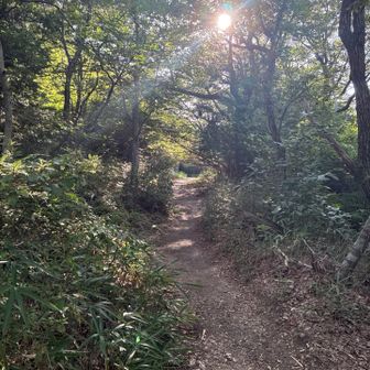 もうすぐ雄岳山頂