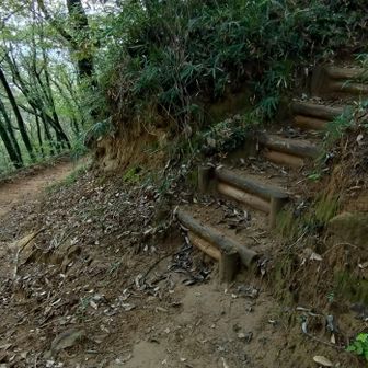 大八王子山などへ行くのに、こちらの階段を進みます。標識がないので、まっすぐ行ってしまい引き返してきました